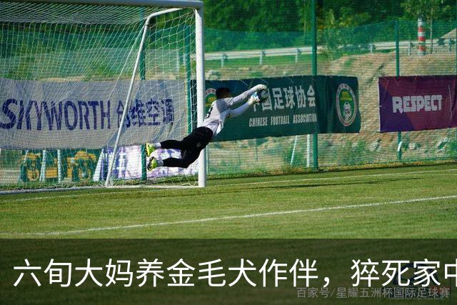 六旬大妈养金毛犬作伴，猝死家中10天，警方破门后将狗送去安乐死