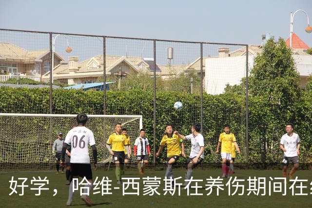 好学，哈维-西蒙斯在养伤期间在线学习哈佛商学院课程